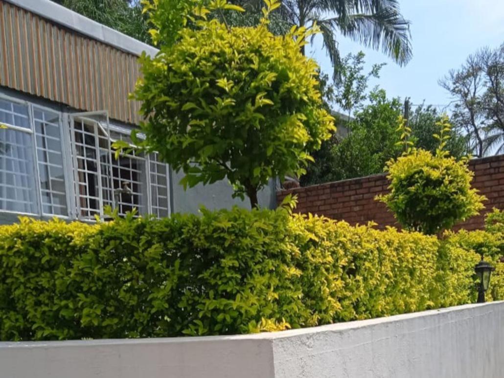 Kaste Guesthouse Tzaneen Exteriör bild
